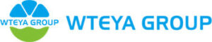 WTEYA GROUP logo: blue circular emblem with four petal shapes and the blue 'WTEYA GROUP' text next to it.